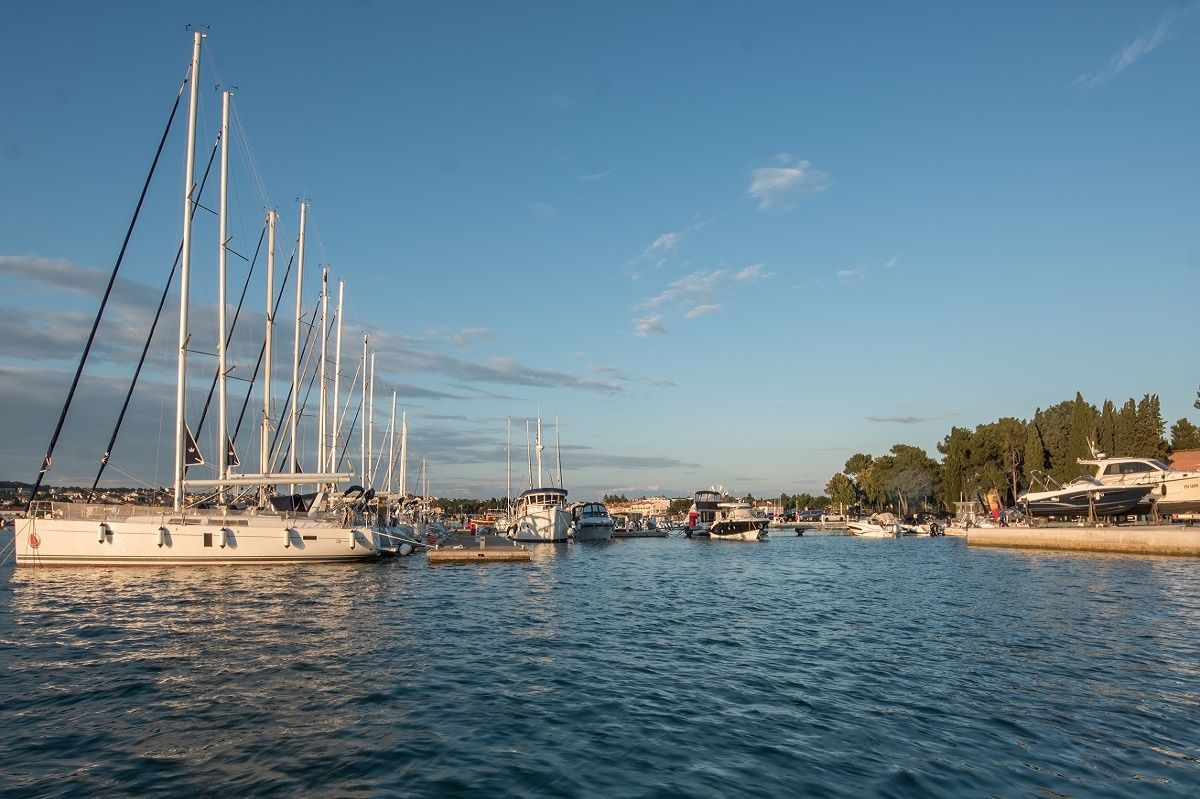 Grginič Shark 23 | S20