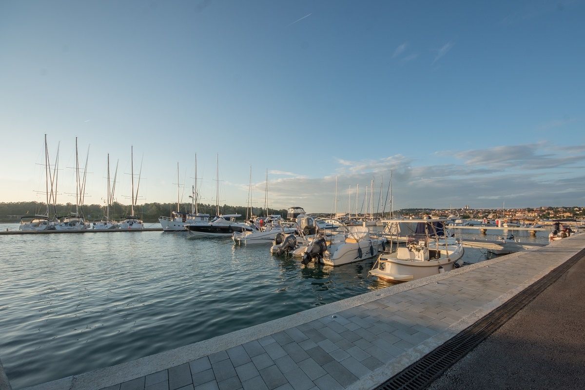 Grginič Shark 23 | S20