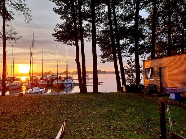 Cobra Yachts Maestro 42 | Cormorant