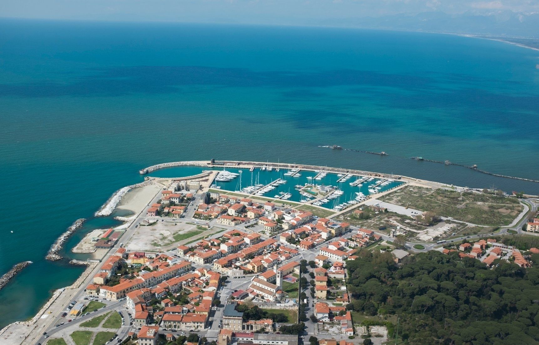 CCYD 55 | Rosie Probert Too