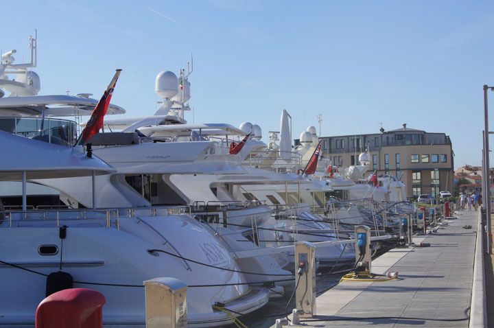 CCYD 55 | Rosie Probert Too