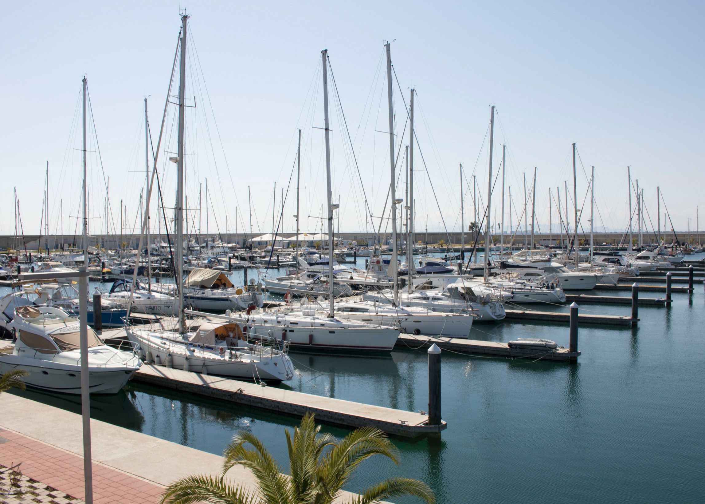 Northman Maxus 35 | Angelmiles 1