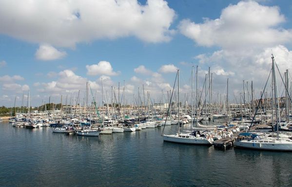 Real Club Nàutic de València