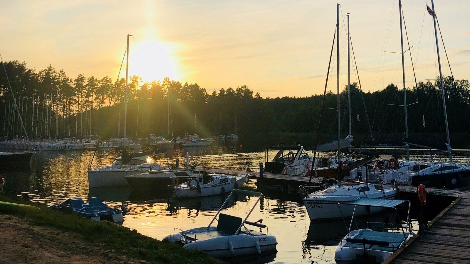 Delphia Escape 1150V | Dominika