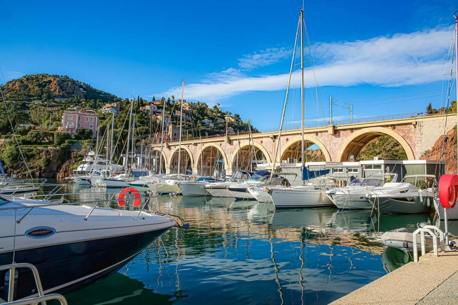 Vanquish VQ45 | Twinkle