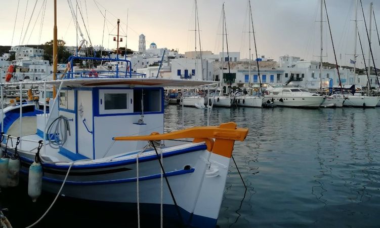 Topline C29 | Navigatus 6