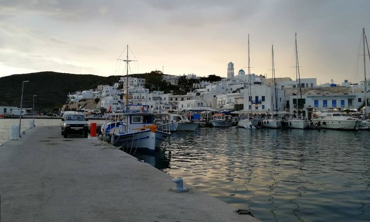 Topline C29 | Navigatus 6