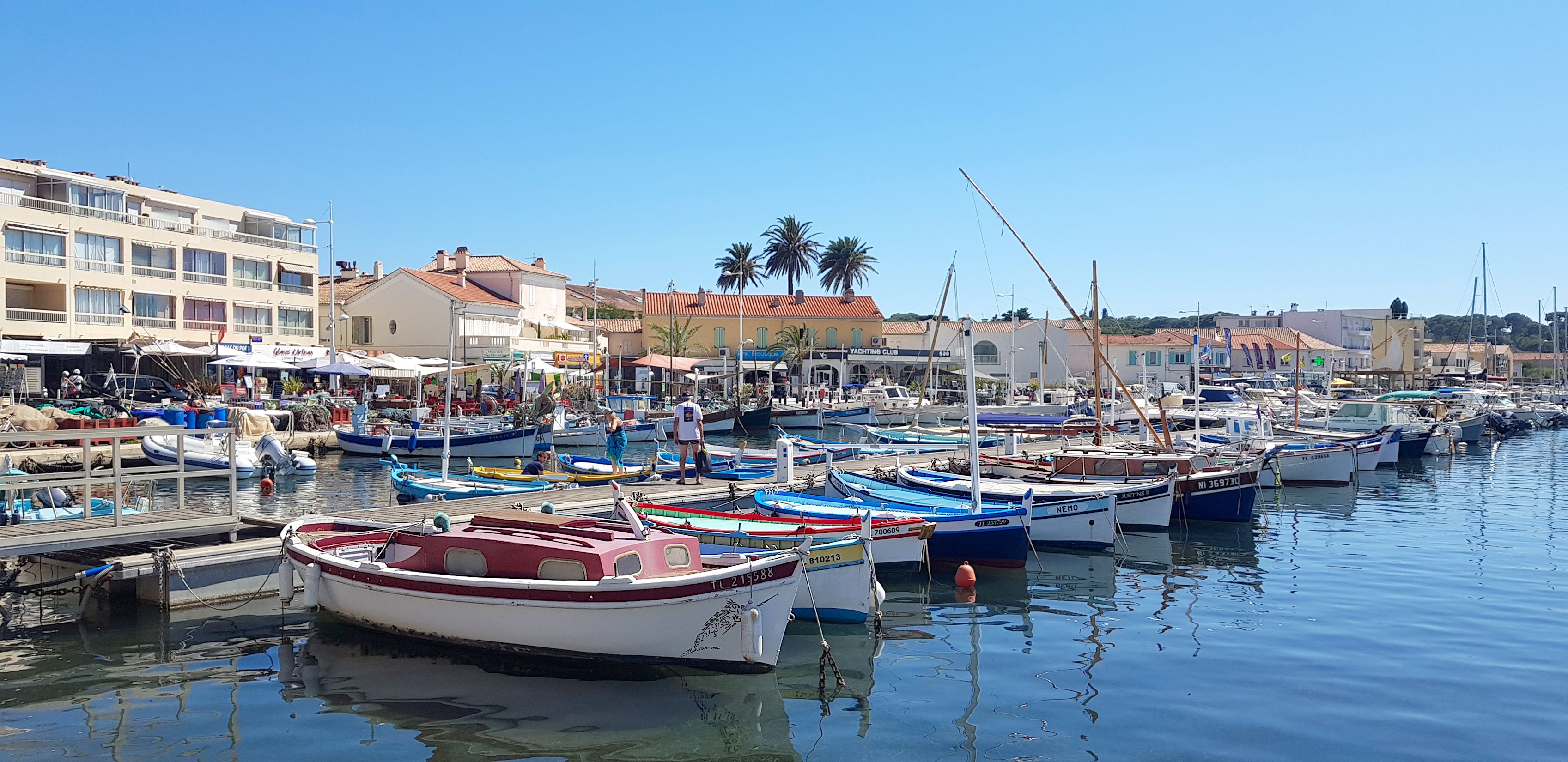 Capelli Tempest 530 | 2