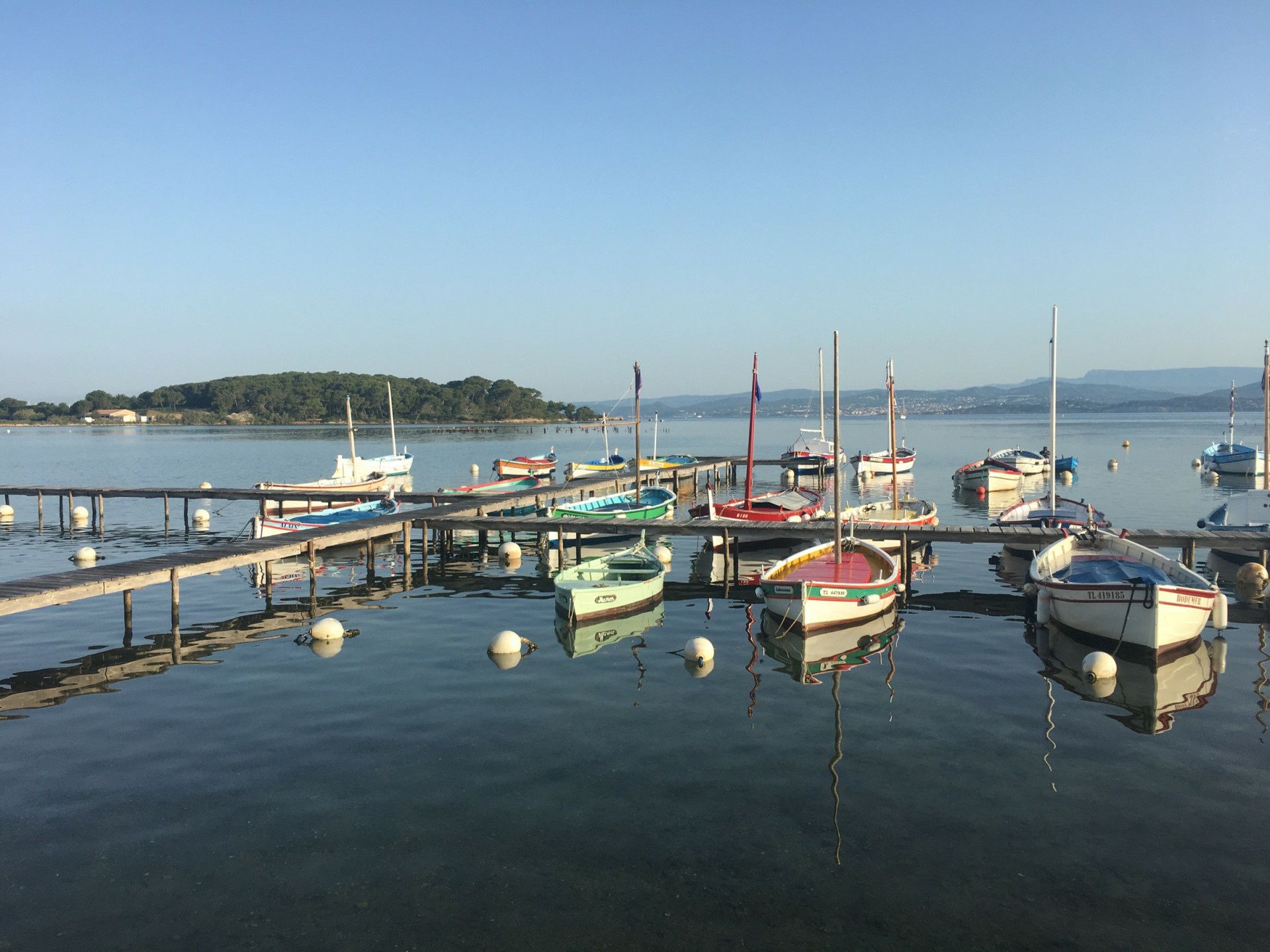 Capelli Tempest 530 | 2