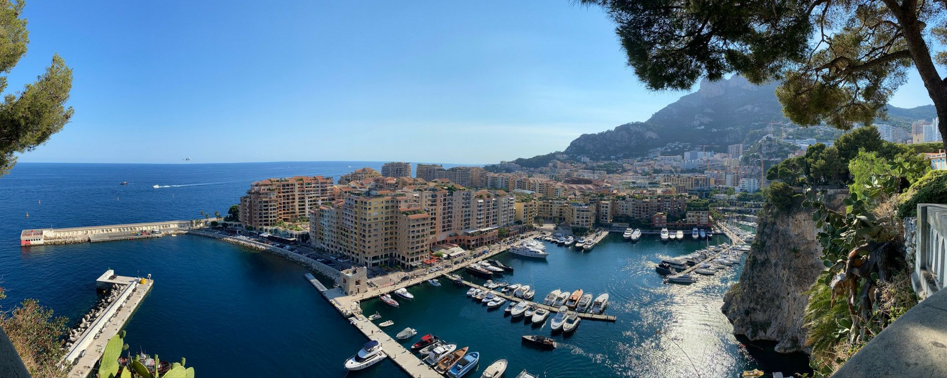 Pro-Line 24 | Red Wave