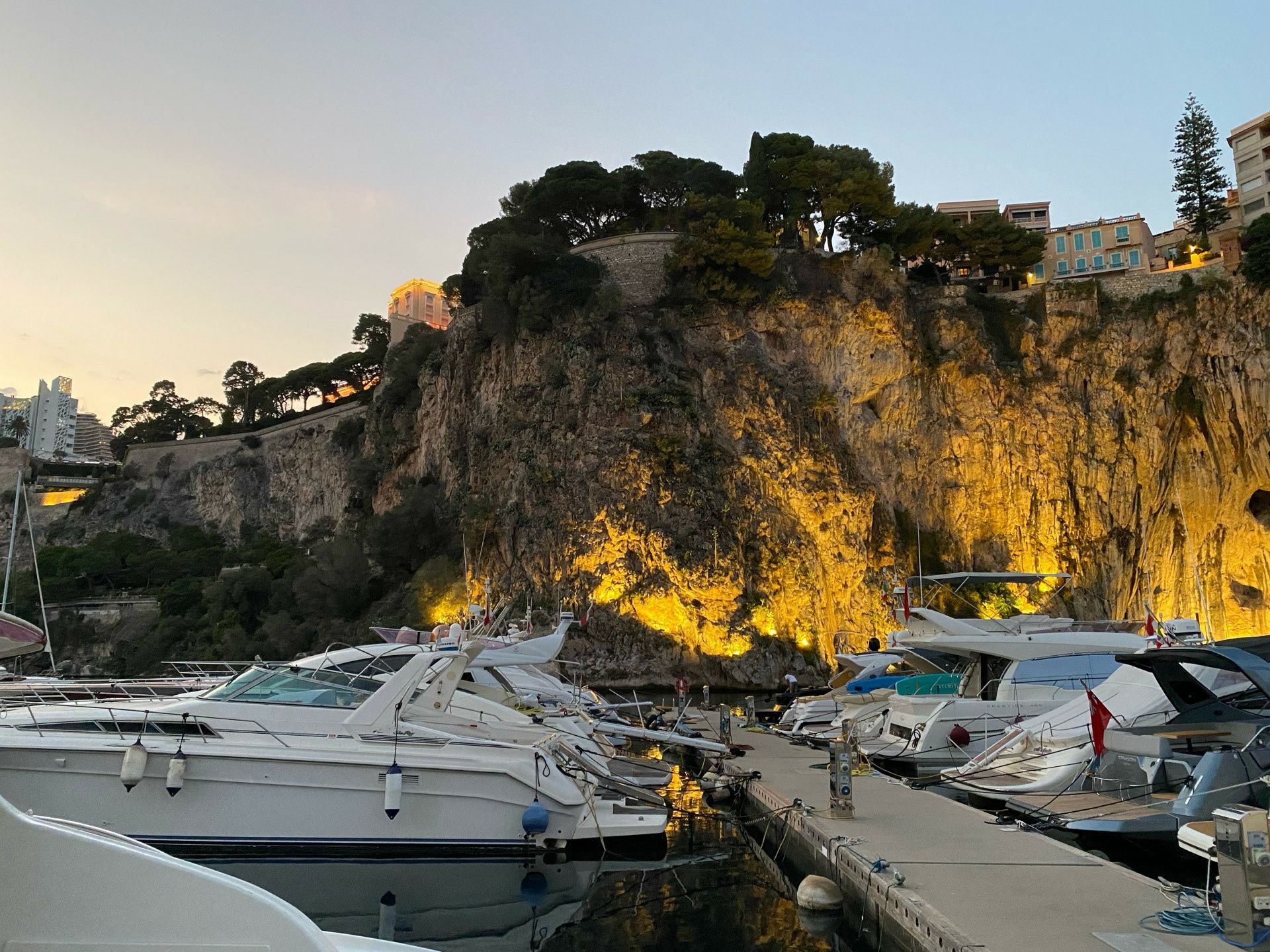 Pro-Line 24 | Red Wave