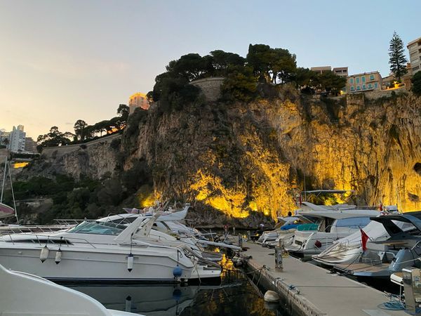 Joker Clubman 19 | Red Star