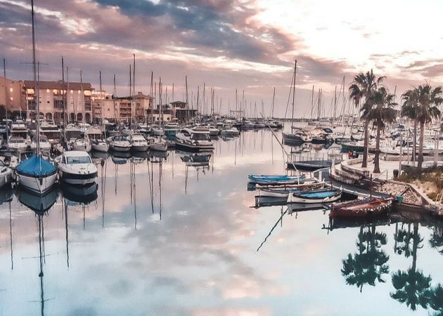 Leopard 24 | Ola Mona