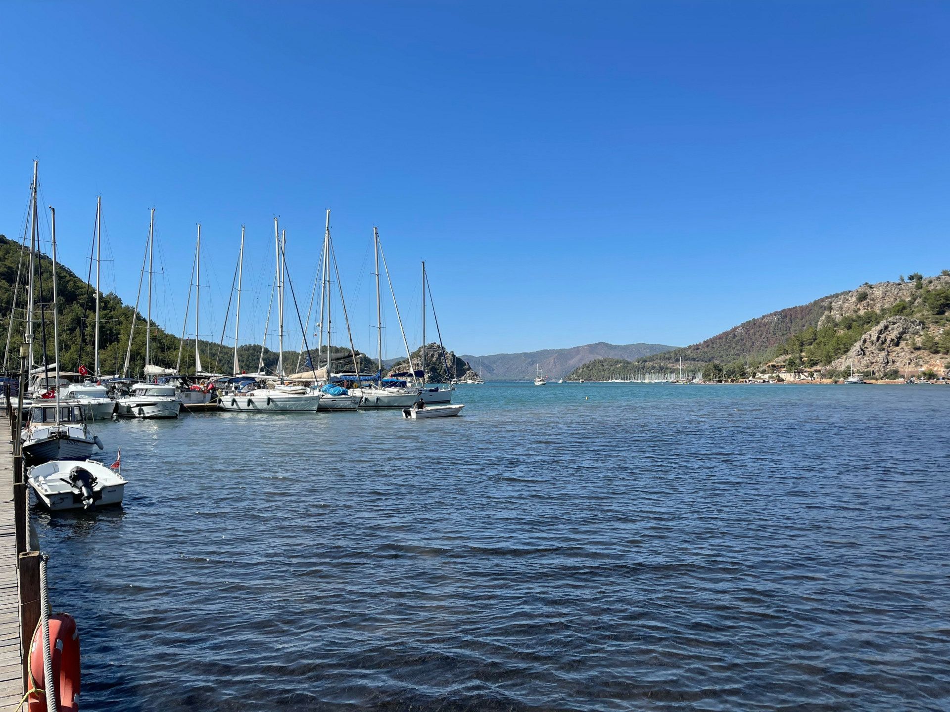 Bali Catspace | Sail Solaris