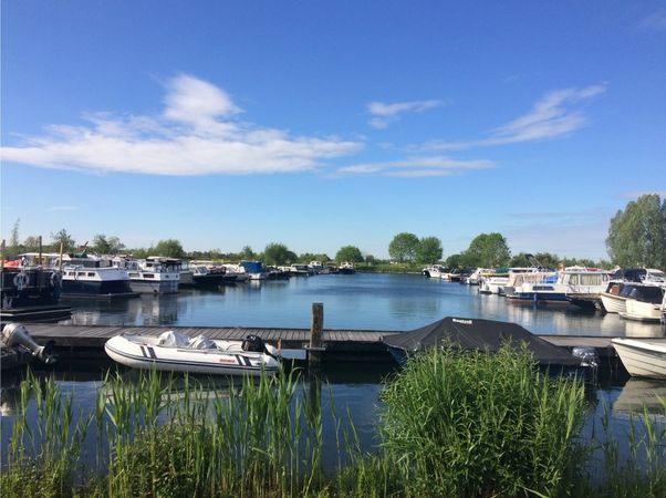 Rogger 1000 | Mantelmeeuw