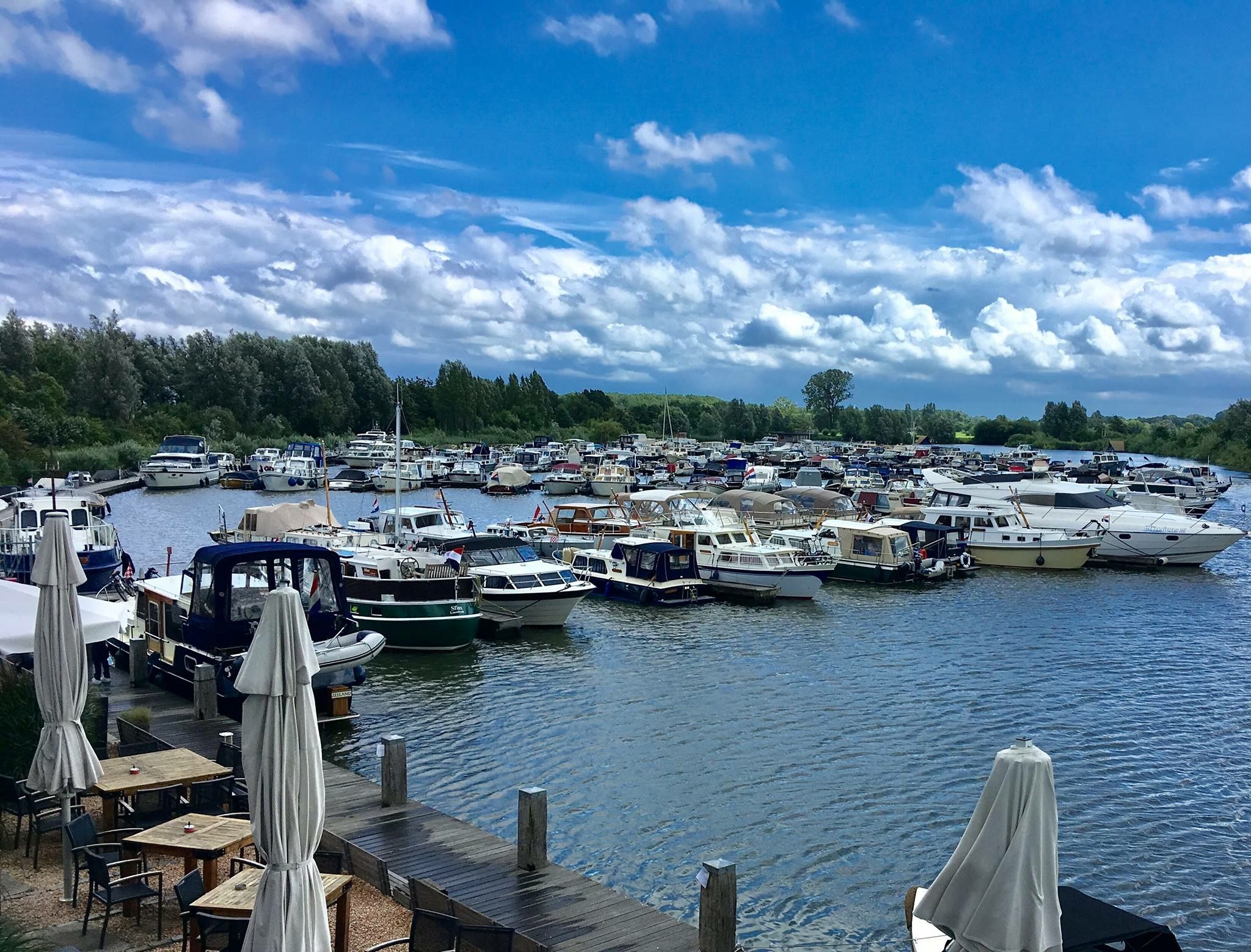 Rogger 1000 | Mantelmeeuw