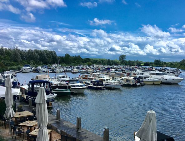 Rogger 1000 | Mantelmeeuw