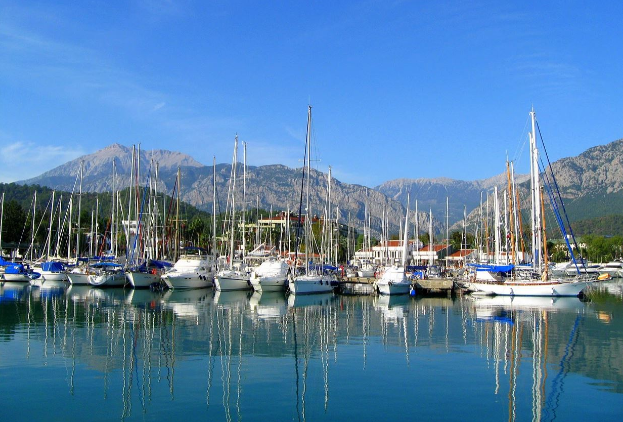 Custom Built 59 | Medusa 1