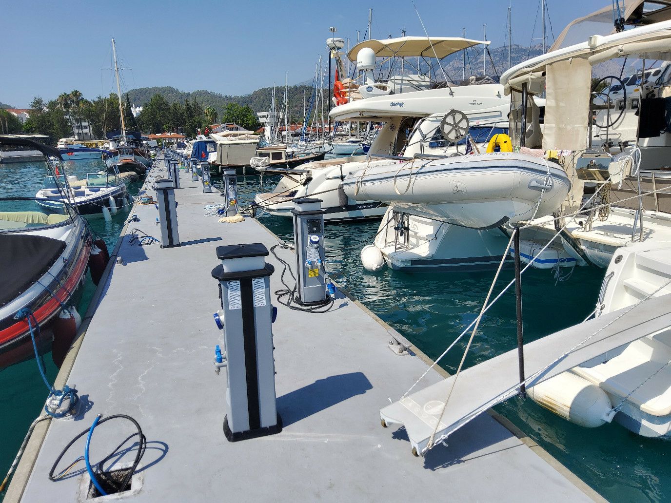 Custom Built 59 | Medusa 1