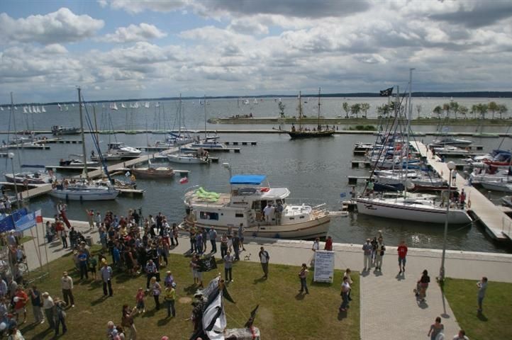 Quicksilver 555 | Alexa