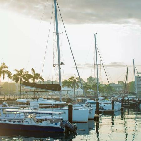 Leopard 48 | Sunday Kinga