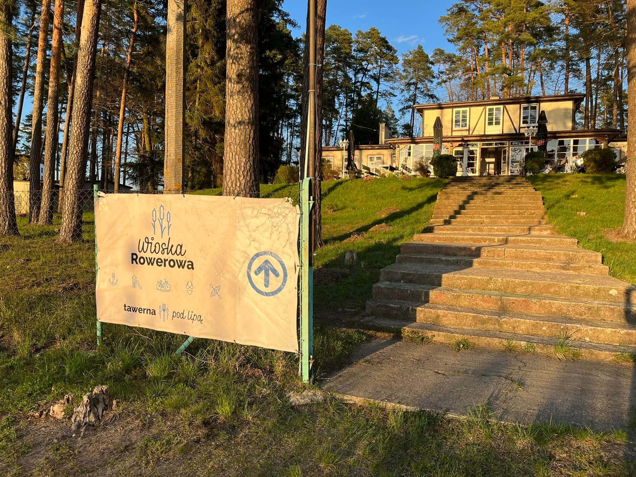 Sasanka 660 | Umbriaga