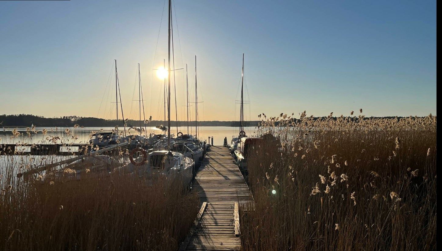 Sasanka 660 | Umbriaga