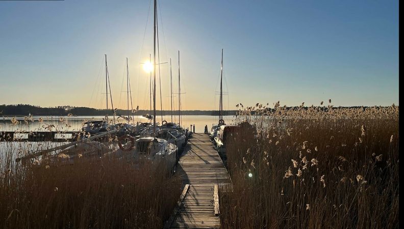 Sasanka 660 | Umbriaga