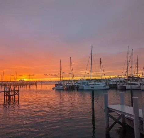 Bali Catspace | Madison Graham 2