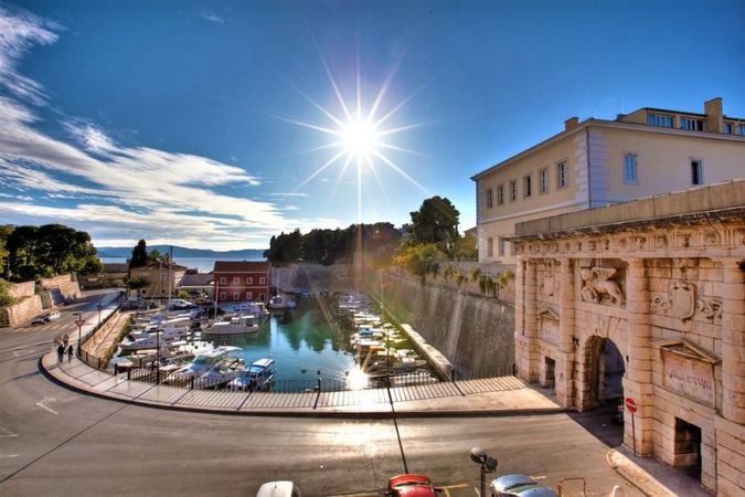 White Shark 265 | Kelt