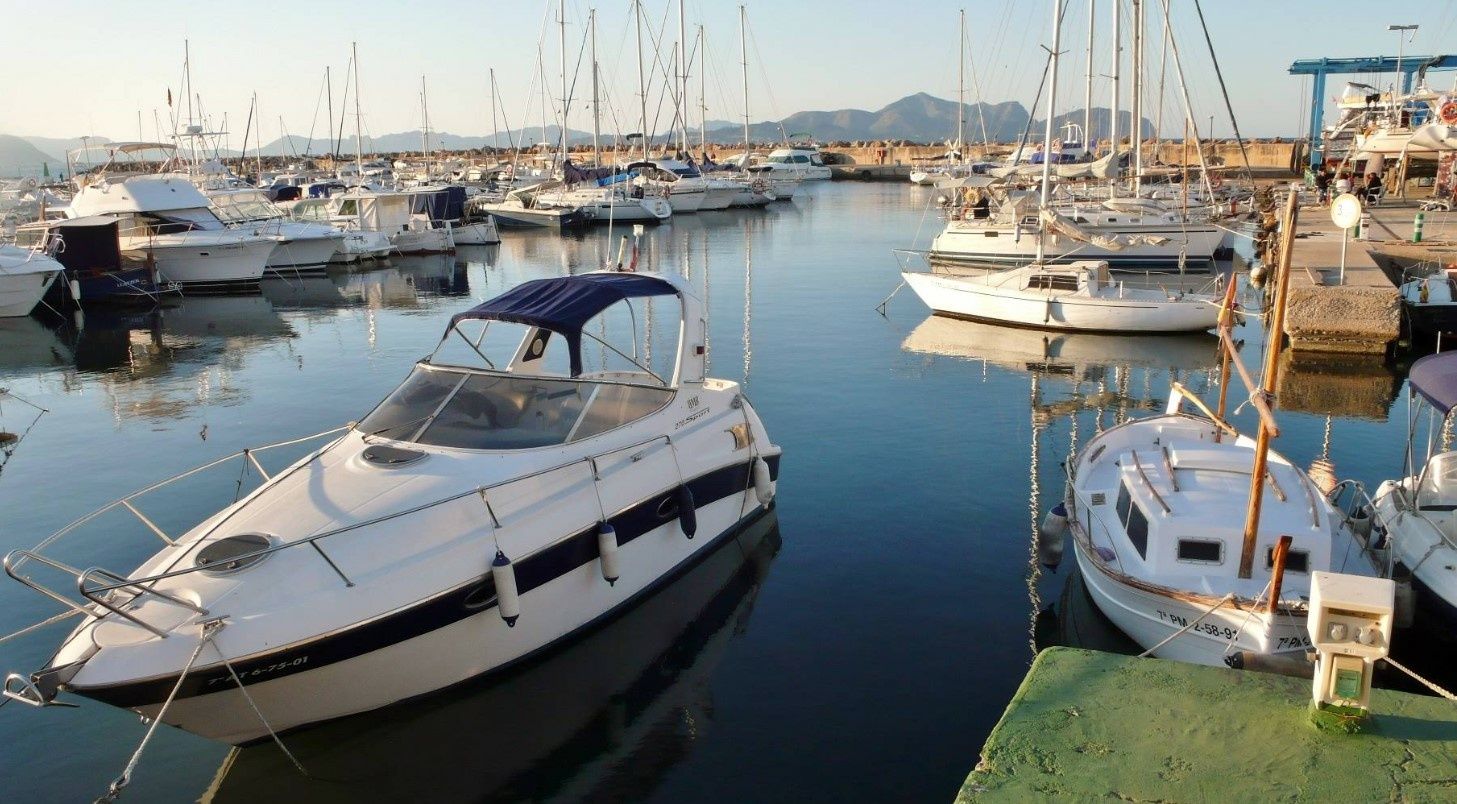 Bertram 42 | Bucaner