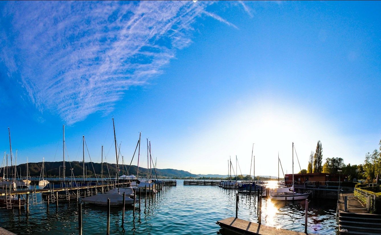 Varianta 18 | Calypso