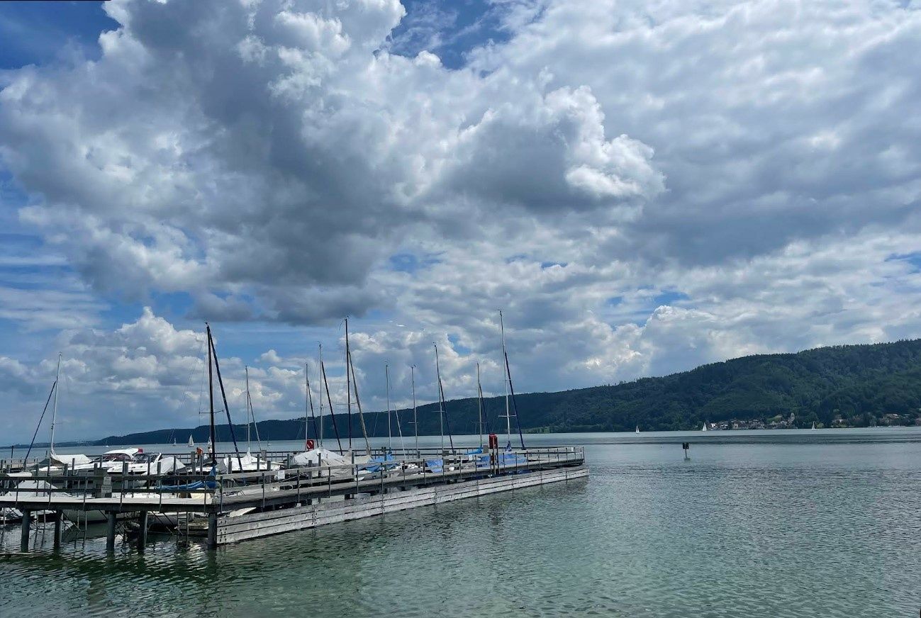 Varianta 18 | Calypso