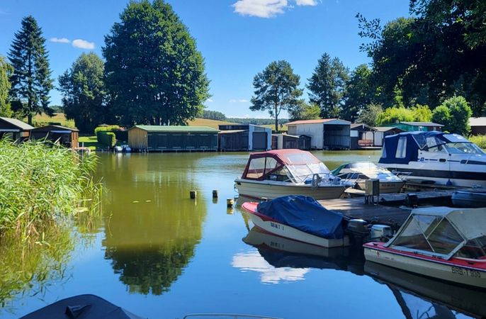 Floss D7 | Priepert 03