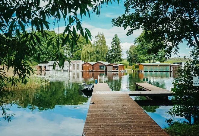 Floss D7 | Priepert 03