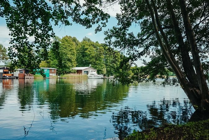 Floss D7 | Priepert 03