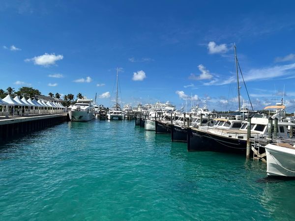 Sunseeker 75 | Daddy's Dollar