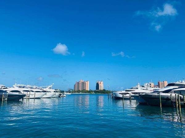 Sunseeker 75 | Daddy's Dollar