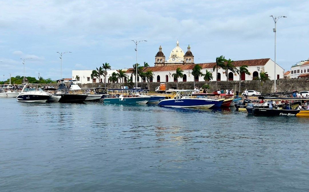 Sun Tracker 24 | Mavi