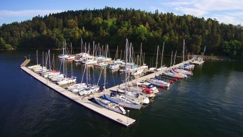 Albin Scampi 30 | Lady Godiva