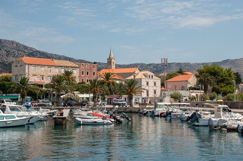 Marlin 790 Dynamic | 22