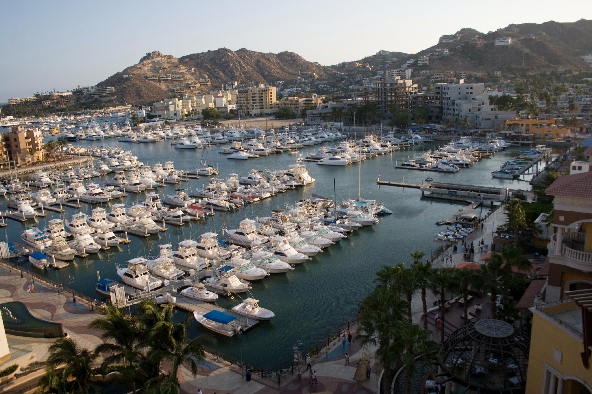 Custom Built 28 | Cabo life