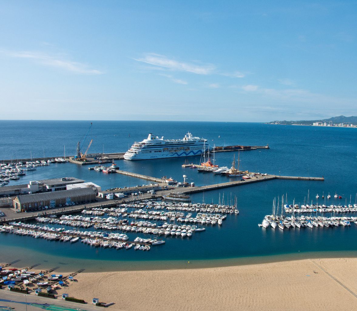 Predator 490 | Llané