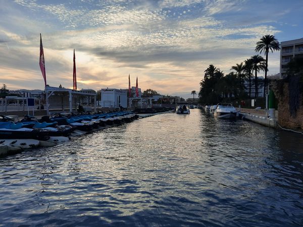 Bali Catspace | Fontana