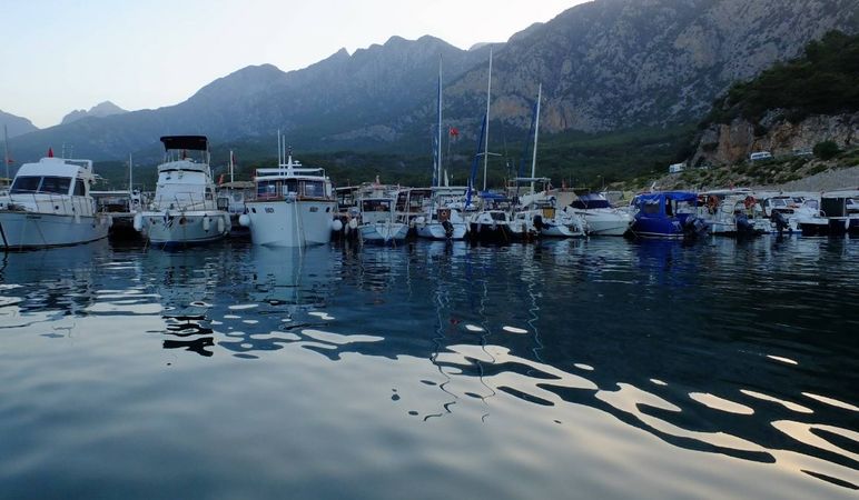 Princess 66 | Regnum