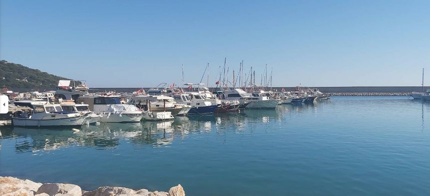 Princess 66 | Regnum