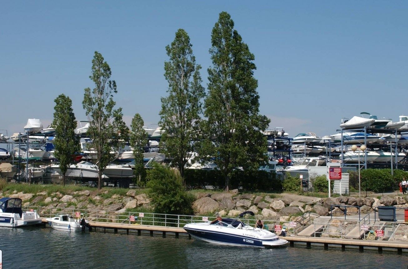 Bayliner VR6 Bowrider | Phacochere