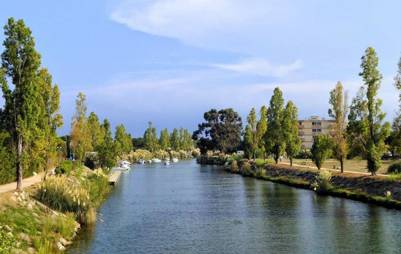 Bayliner VR6 Bowrider | Phacochere