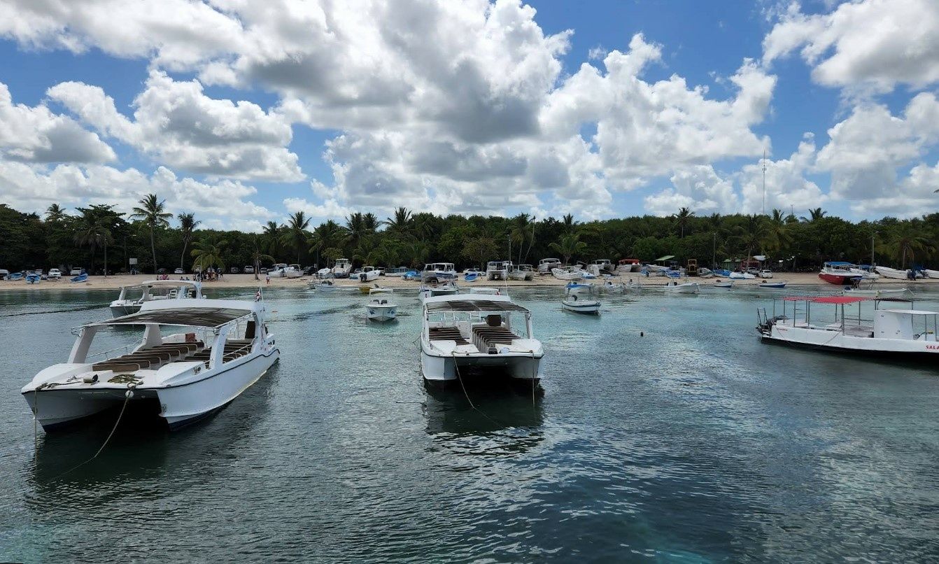 Custom Built 30 | Balsita