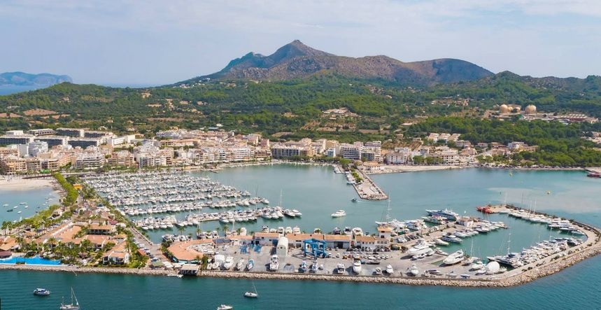 Sessa C 35 | Bonavia